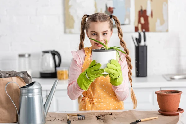 Cute child holding flowerpot with aloe and smiling near table in kitchen — Stock Photo