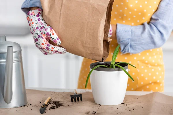 Cropped view of woman with paper bag putting ground to flowerpot with aloe near watering pot and gardening tools on table in kitchen — Stock Photo