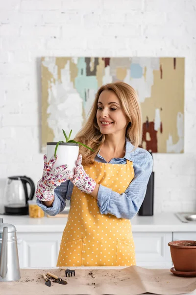 Красивая женщина смотрит на цветочный горшок с алоэ и улыбается возле стола с садовыми инструментами на кухне — стоковое фото