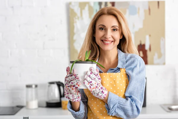 Vorderseite der schönen Frau zeigt Blumentopf mit Aloe und blickt in die Kamera in der Küche — Stockfoto