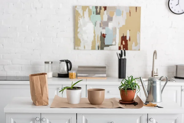 Mesa com saco de papel perto de vasos de flores com aloés em papel, ferramentas de jardinagem e panela de rega na cozinha — Fotografia de Stock