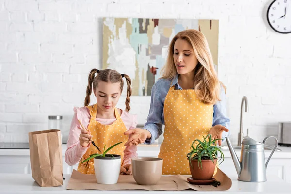Милый ребенок с матерью, держащей лопату возле стола с бумажным пакетом, цветочные горшки с алоэ и полив горшок на кухне — стоковое фото