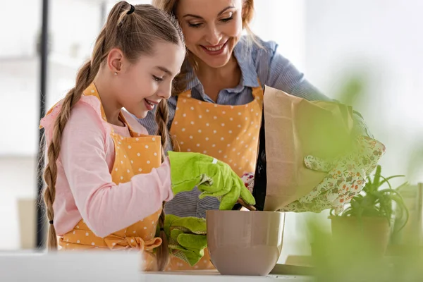 Foco seletivo da mulher colocando chão para vaso com aloés perto de filha bonito com ferramenta de jardinagem perto da mesa na cozinha — Fotografia de Stock