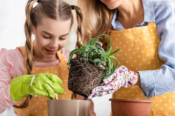 Mère mettant aloe au pot de fleurs près fille heureuse avec outil de jardinage dans la cuisine — Photo de stock