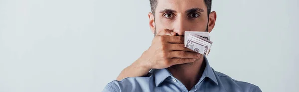 Panoramic shot of male hand holding dollars and covering mouth to man isolated on grey — Stock Photo