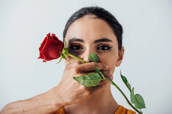 Male hand holding rose and covering mouth to indian woman with bruise isolated on grey — Stock Photo