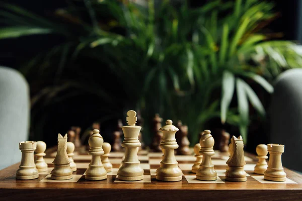 Chess set on chess board — Stock Photo, Image