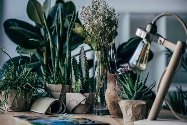 Groene planten met art supplies op tafel — Stockfoto