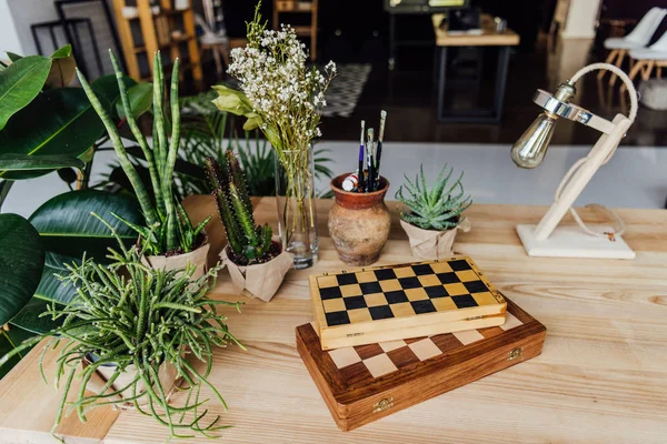 Green plants in pots with chess boards — Stock Photo, Image