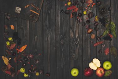 autumn leaves and ripe apples clipart