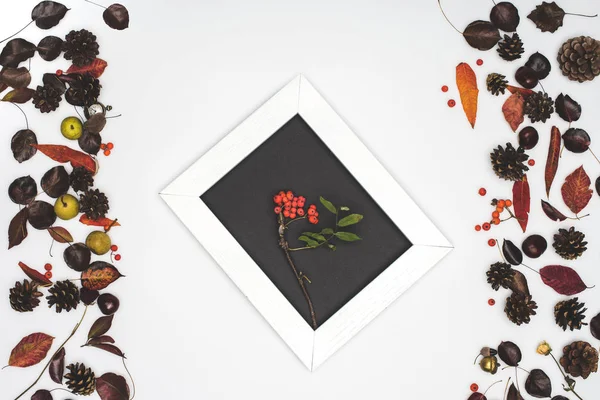Rowan berries in frame — Free Stock Photo