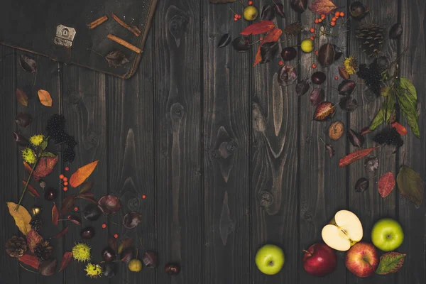 Hojas de otoño y manzanas maduras — Foto de Stock