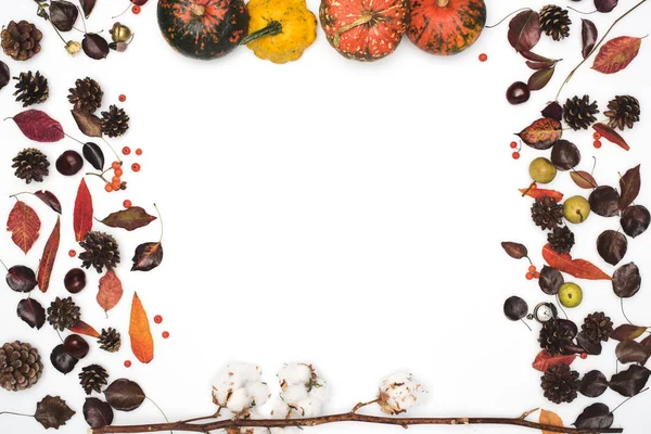 dried leaves and pumpkins