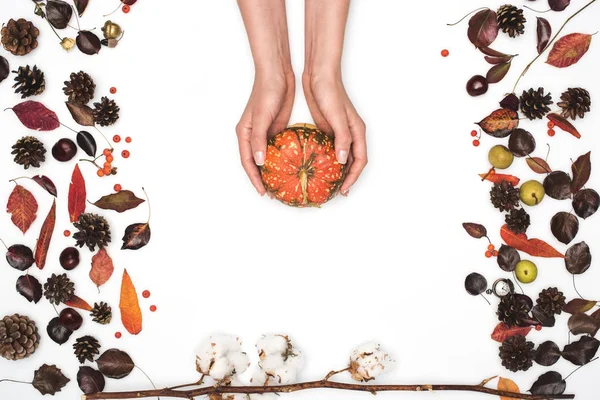 Ripe pumpkin in hands — Stock Photo, Image