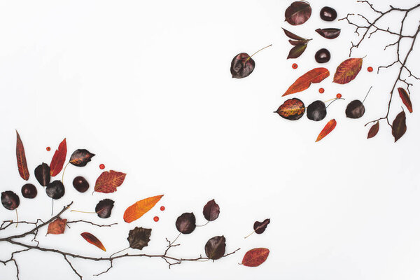 сушеные осенние листья и каштаны
