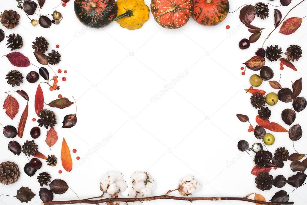 dried leaves and pumpkins