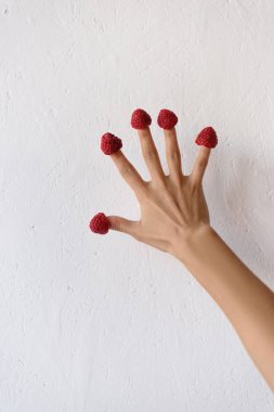 raspberries on female hand clipart