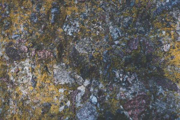 Batu dengan lumut — Stok Foto