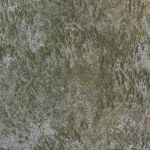 Rough wall texture