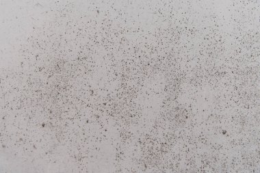 Beton duvar dokusu
