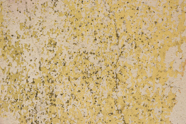 Старая стена
