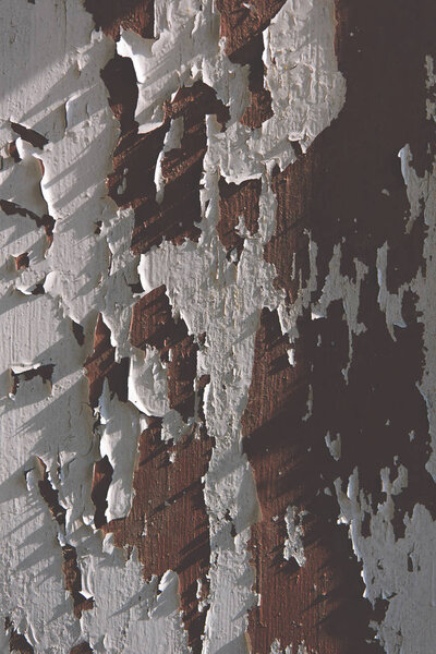 Выветриваемая деревянная доска
