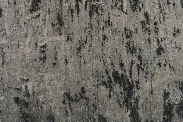 grey weathered surface