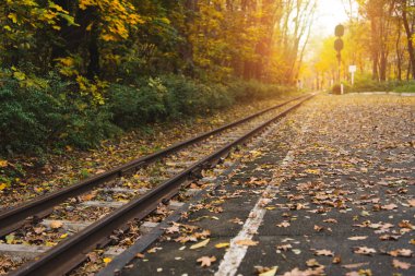 railway station in autumn forest clipart