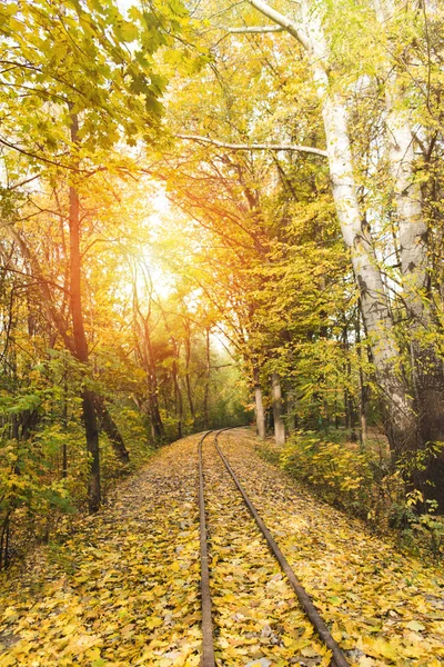 Estrada de ferro na floresta de outono — Fotografia de Stock