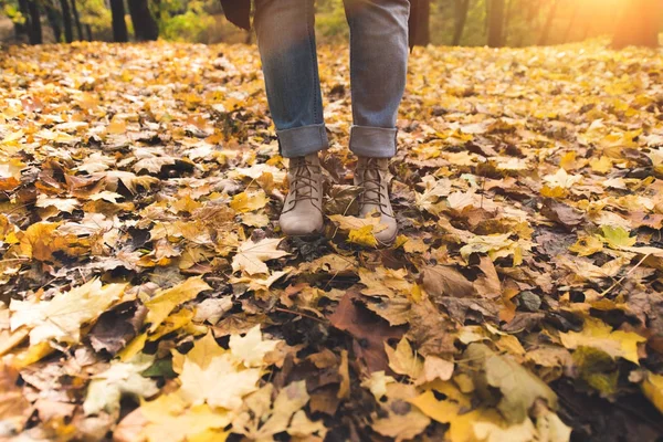 Pessoa de pé em folhas caídas — Fotografia de Stock
