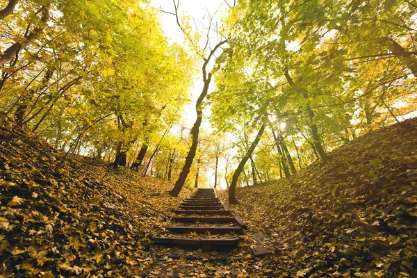 Po schodach w parku jesień — Zdjęcie stockowe