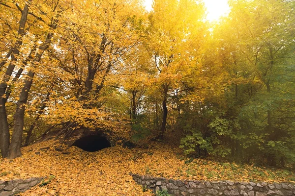 美しい秋の公園 — ストック写真