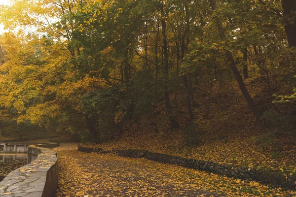 Road in autumn park — Stock Photo, Image