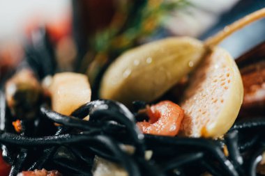 close-up view of gourmet spaghetti with cuttlefish ink, squid and mussels with octopus   clipart