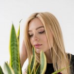 Nahaufnahme der schönen jungen Frau, die grüne Zimmerpflanze isoliert auf grau betrachtet Nahaufnahme der schönen jungen Frau, die grüne Zimmerpflanze isoliert auf grau betrachtet