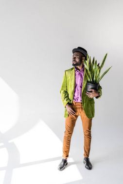 fashionable african american man in hat with green plant in flowerpot in hand posing on grey background clipart