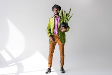 fashionable african american man in hat with green plant in flowerpot in hand posing on grey backdrop clipart