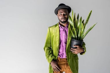 moda Afro-Amerikan adamla şapkalı gri izole yeşil bitki saksı el poz içinde