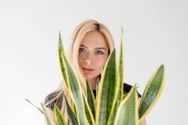güzel sarışın kız yeşil houseplant gri izole yapraklarda kameradan bakıyorsun