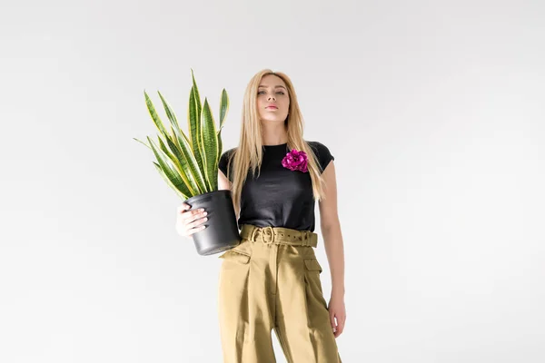 Vue Angle Bas Fille Blonde Élégante Tenant Plante Pot Isolé — Photo