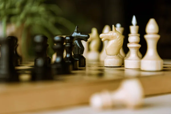 Chess pieces knights on chessboard — Stock Photo