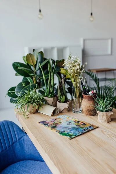 Grüne Pflanzen mit Kunstgegenständen auf dem Tisch — Stockfoto