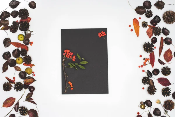 Vogelbeeren und getrocknete Blätter — Stockfoto