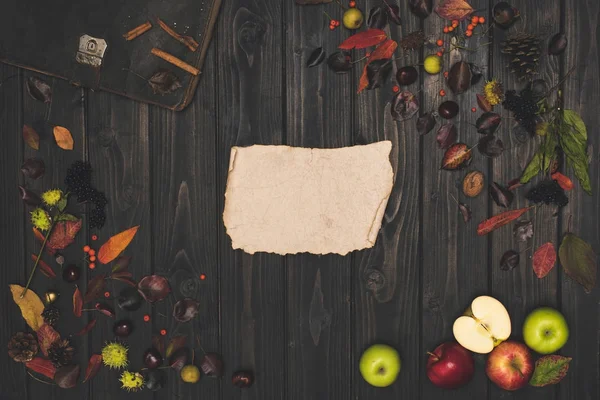 Hojas de otoño y pergamino en blanco - foto de stock