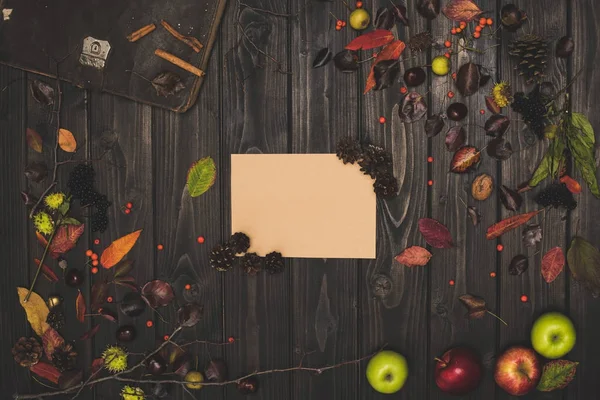 Осенняя композиция с чистой карточкой — стоковое фото
