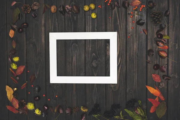 Autumn composition and frame — Stock Photo