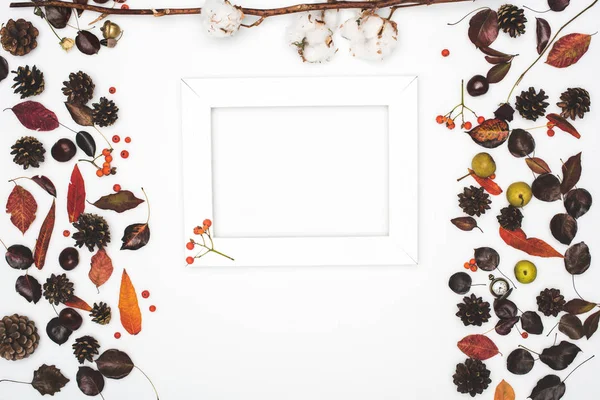Dried leaves and frame — Stock Photo