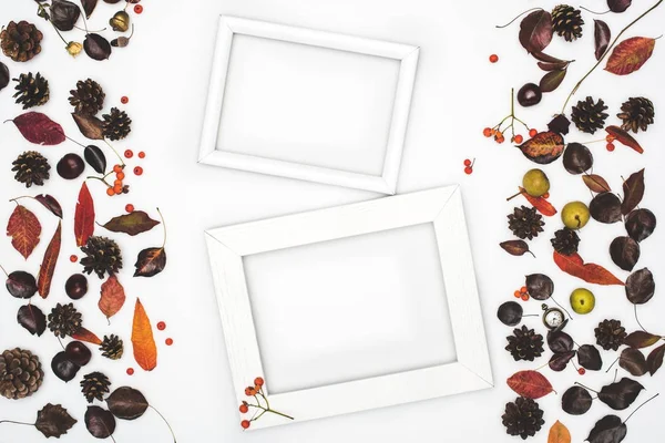 Dried leaves and frames — Stock Photo