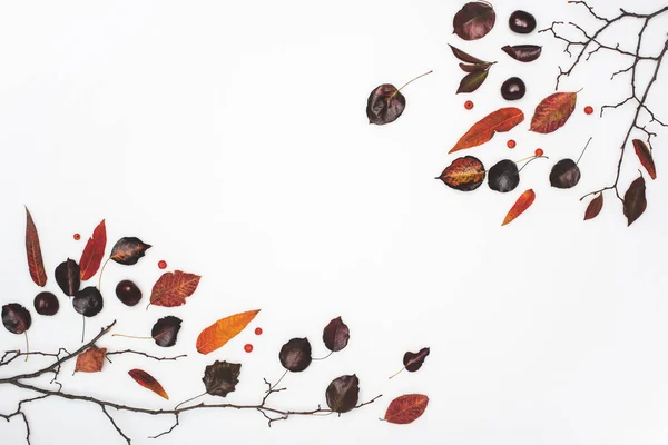 Dried autumn leaves and chestnuts — Stock Photo