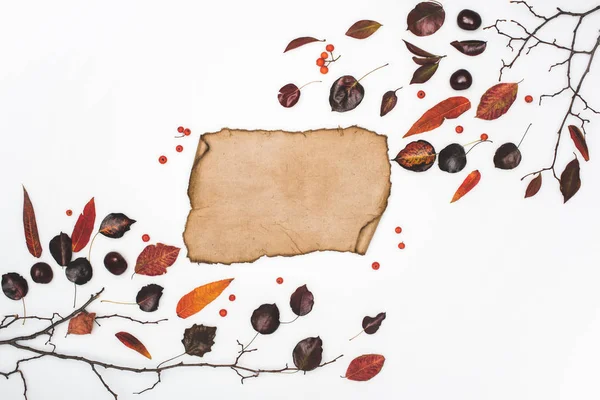 Dried leaves and blank parchment — Stock Photo